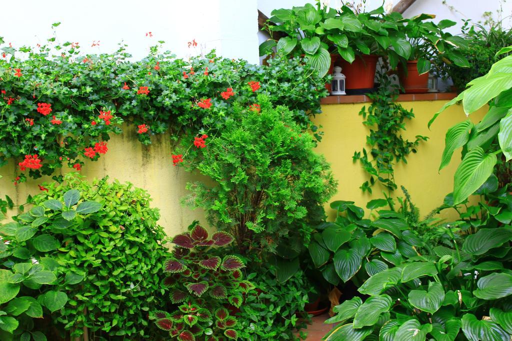 Hostal Escartin Sabiñánigo Zewnętrze zdjęcie