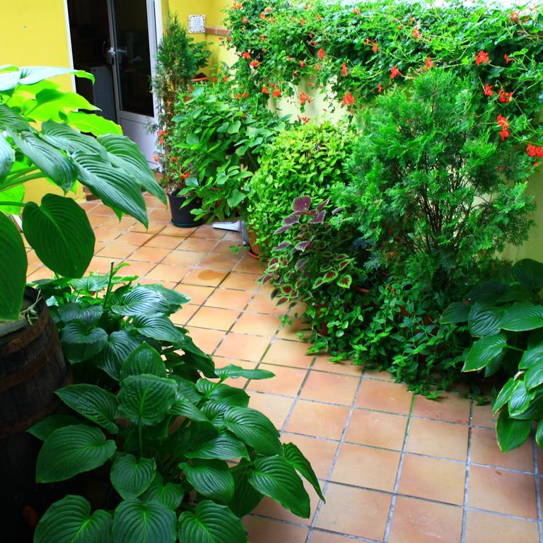 Hostal Escartin Sabiñánigo Zewnętrze zdjęcie