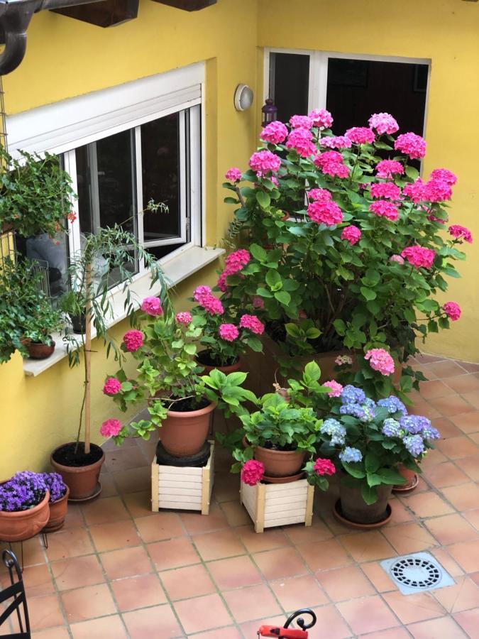 Hostal Escartin Sabiñánigo Zewnętrze zdjęcie